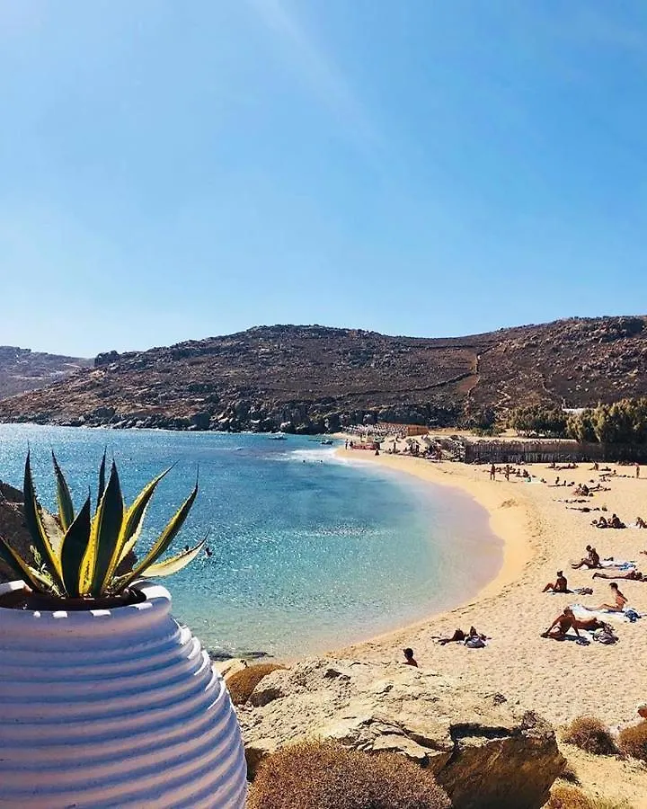 Hotel Agrari Ninemia Mykonos Grecia